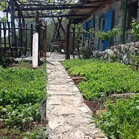 Casa Delle Olive