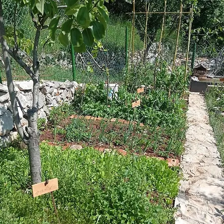 Holiday home Casa Delle Olive *