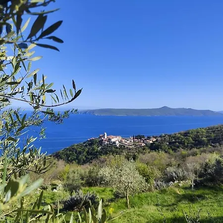 Holiday home Casa Delle Olive Moscenicka Draga